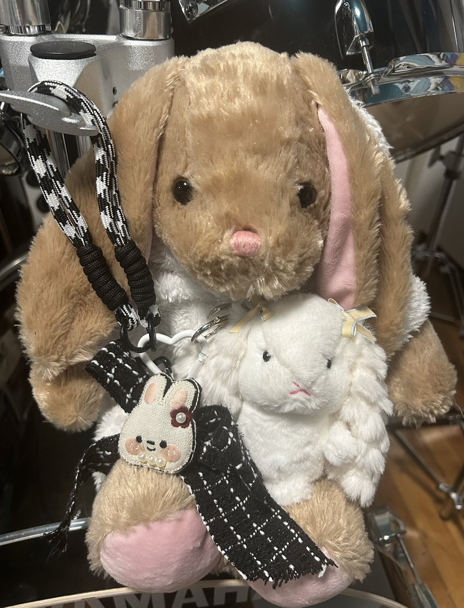 ʀυкα🐇🥁 tweet media