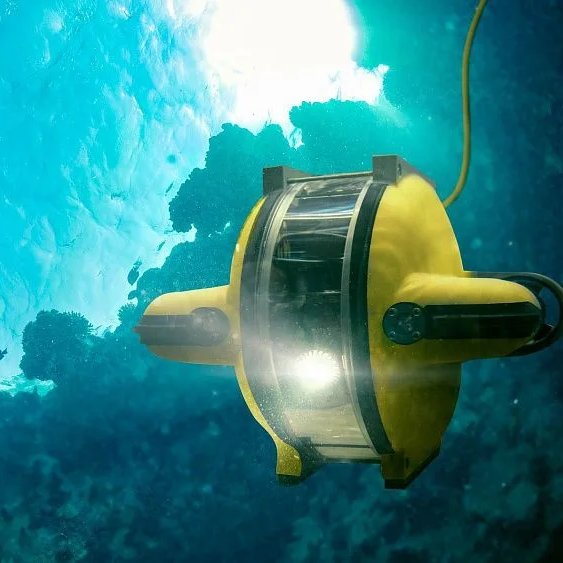 Jackson Hinkle 🇺🇸 tweet media