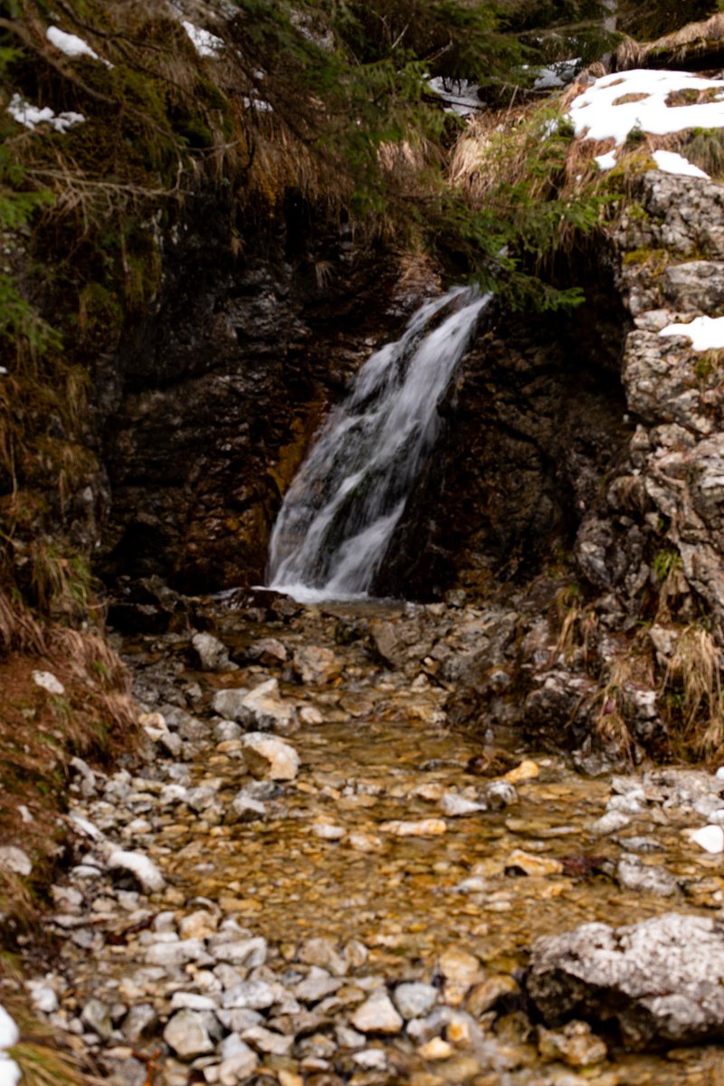 Leaving 🎗️🇮🇱🇺🇦🇪🇺🇨🇦🇬🇱 tweet media