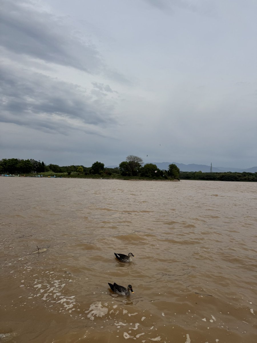 Ujala 🌸 tweet media