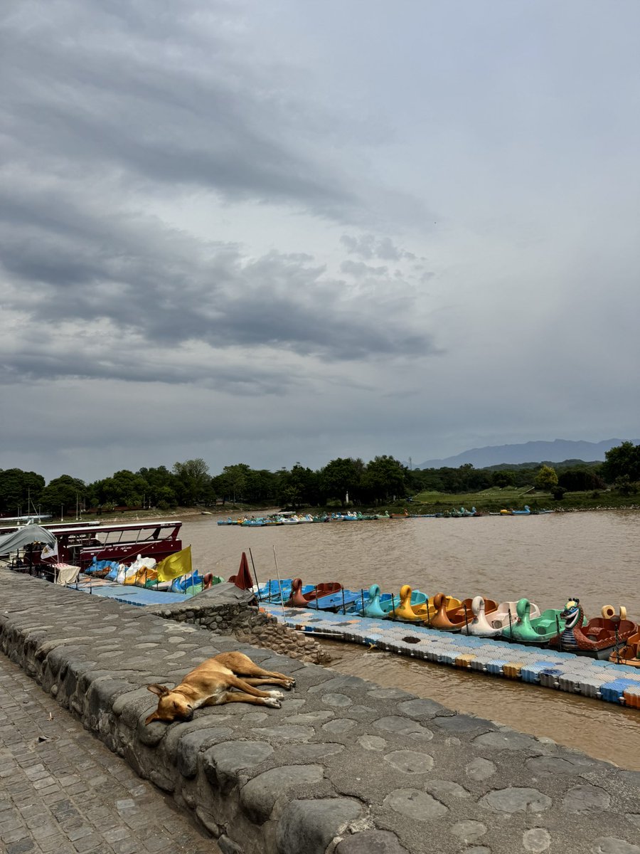 Ujala 🌸 tweet media