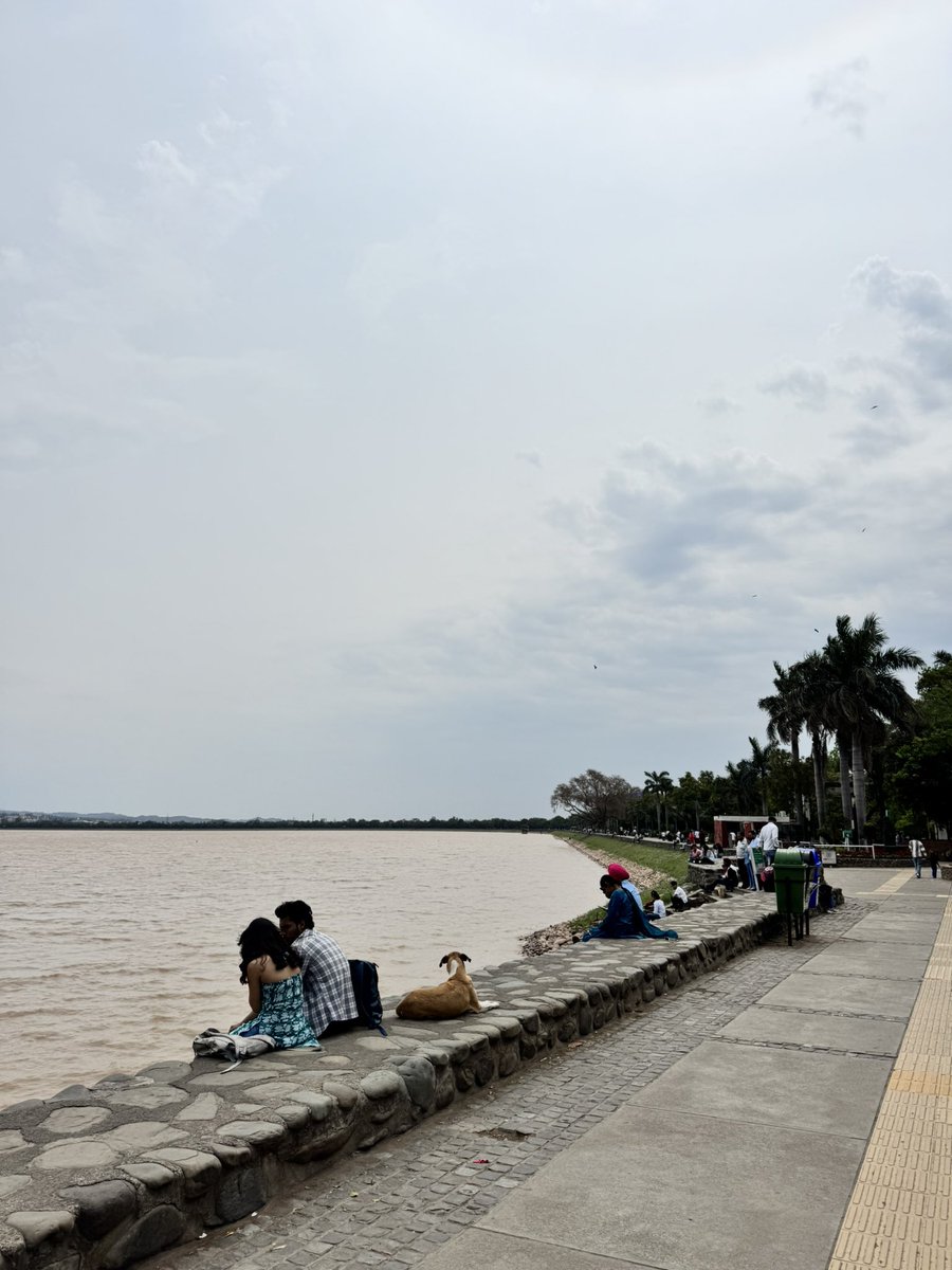 Ujala 🌸 tweet media