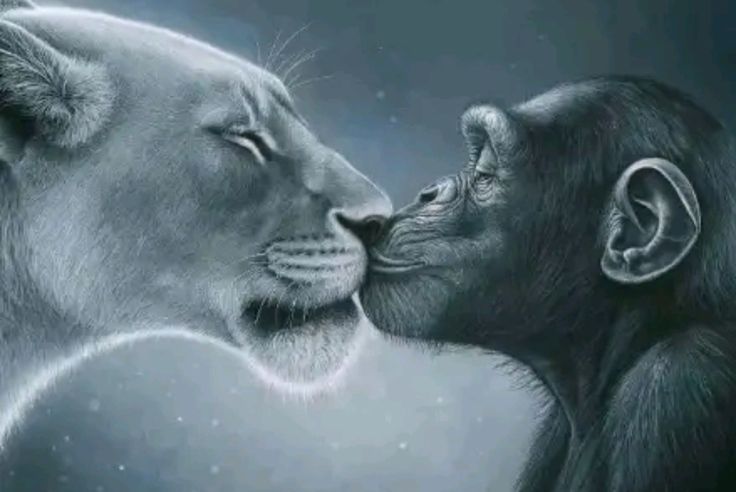 oןǝƃuɐ tweet media