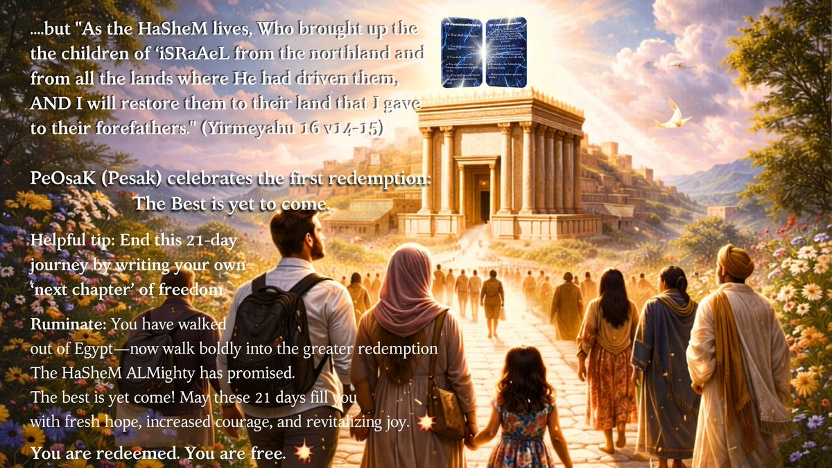 Haven Driven tweet media