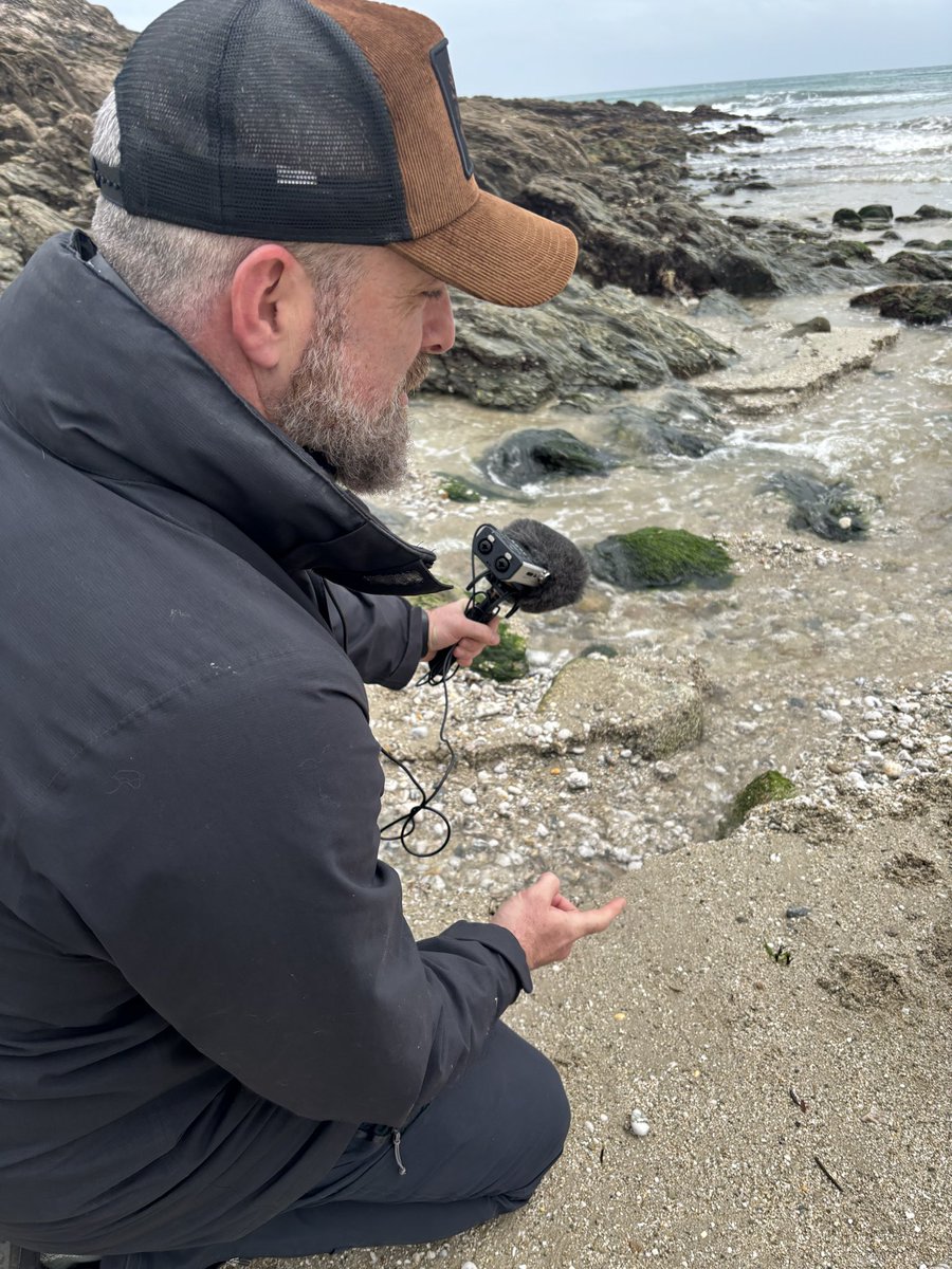 Audioistic_'s tweet photo. Costal sound recordings are some of the most challenging but they are the most fun. Especially when you have curios dogs with you. Collecting sounds for a new film. 
#sounddesign #soundrecording #soundforfilm #audioistic #cornishcoast https://t.co/I4D9NjsidP