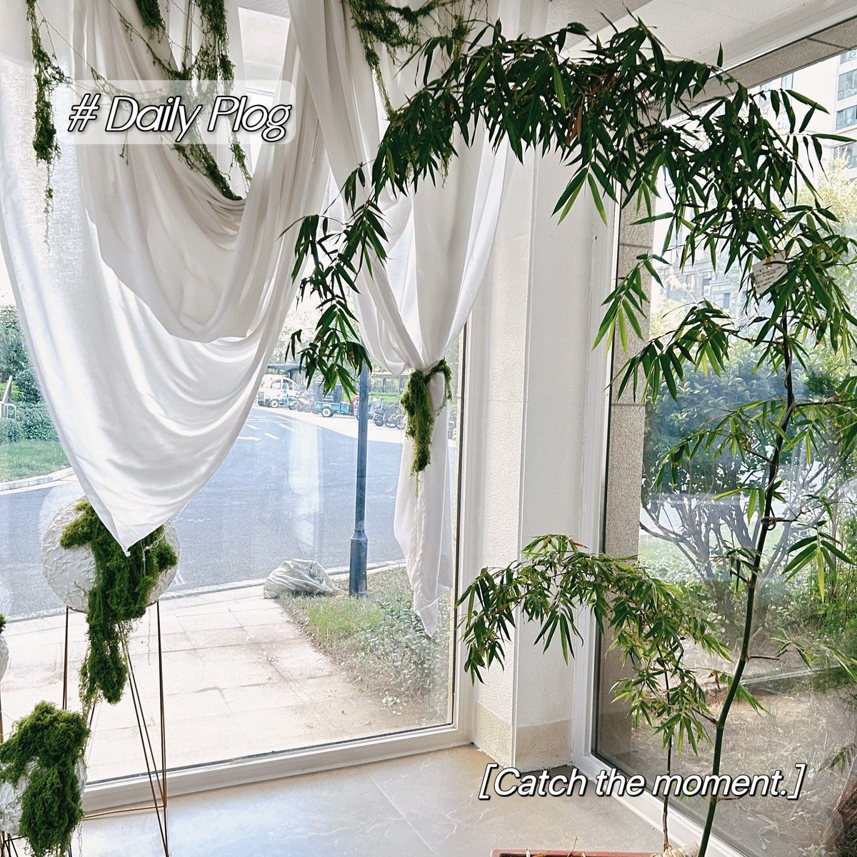 aashsom's tweet photo. " 3 Quick Tips for Thriving Fiddle Leaf Figs!  1. Bright indirect light (avoid midday sun)  2. Water when top 2-3 inches of soil are dry  3. Wipe leaves monthly to boost photosynthesis  Your green friend will thank you! " https://t.co/fSUO96bST2