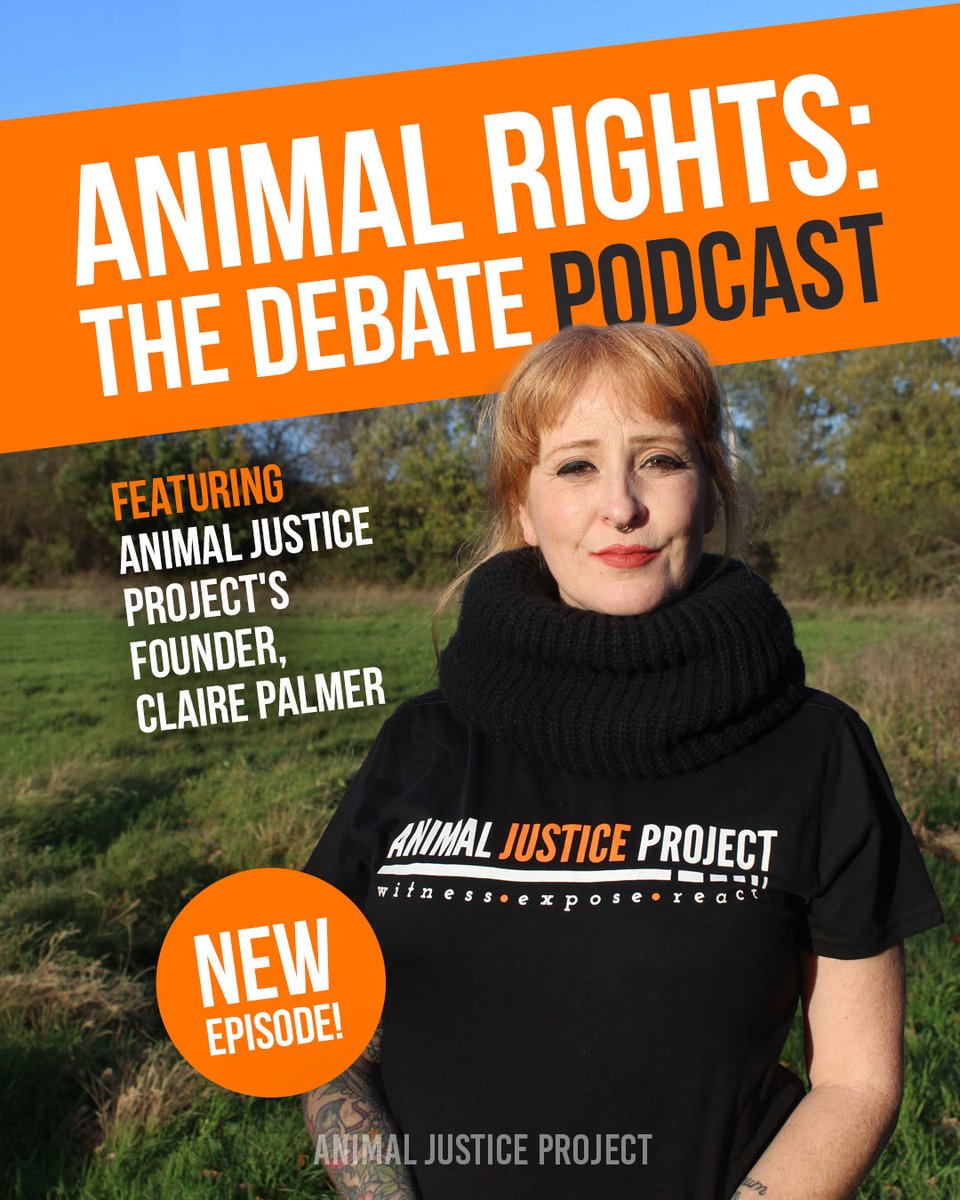 AnimalJusticeProject tweet media