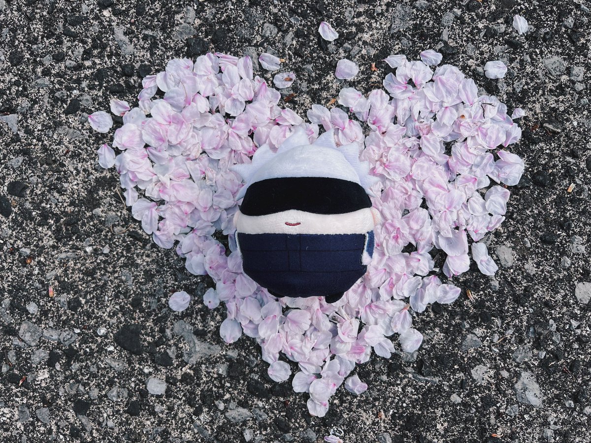 𝗄𝖾𝖽𝖺𝗆𝖺 tweet media