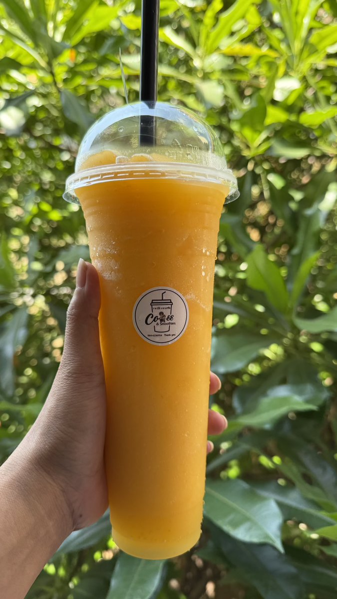 今年はマヨンチットが高価なのか？何処の有名店もがスムージーは150B超え💦

Cafe Amazonはパイナップル🍍にシフト

マヨンチットスムージーの最安値は60B(Charoen Krung 75)の無名店くらいか？
(写真2枚目)