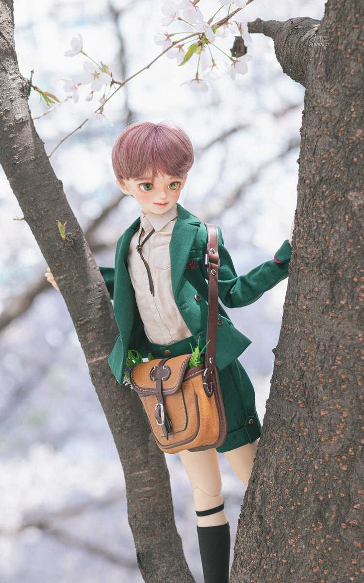 𝚑𝚊𝚌𝚑𝚒𝚍𝚘𝚛𝚒🎈 tweet media