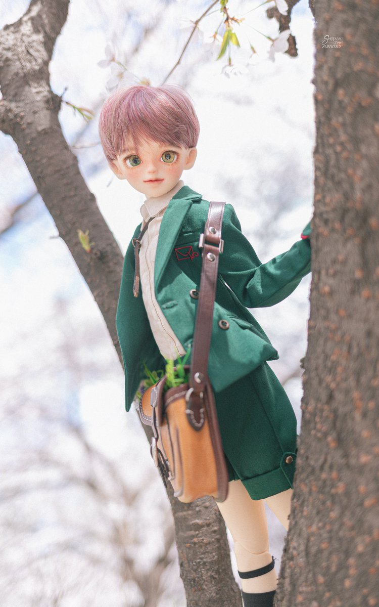 𝚑𝚊𝚌𝚑𝚒𝚍𝚘𝚛𝚒🎈 tweet media