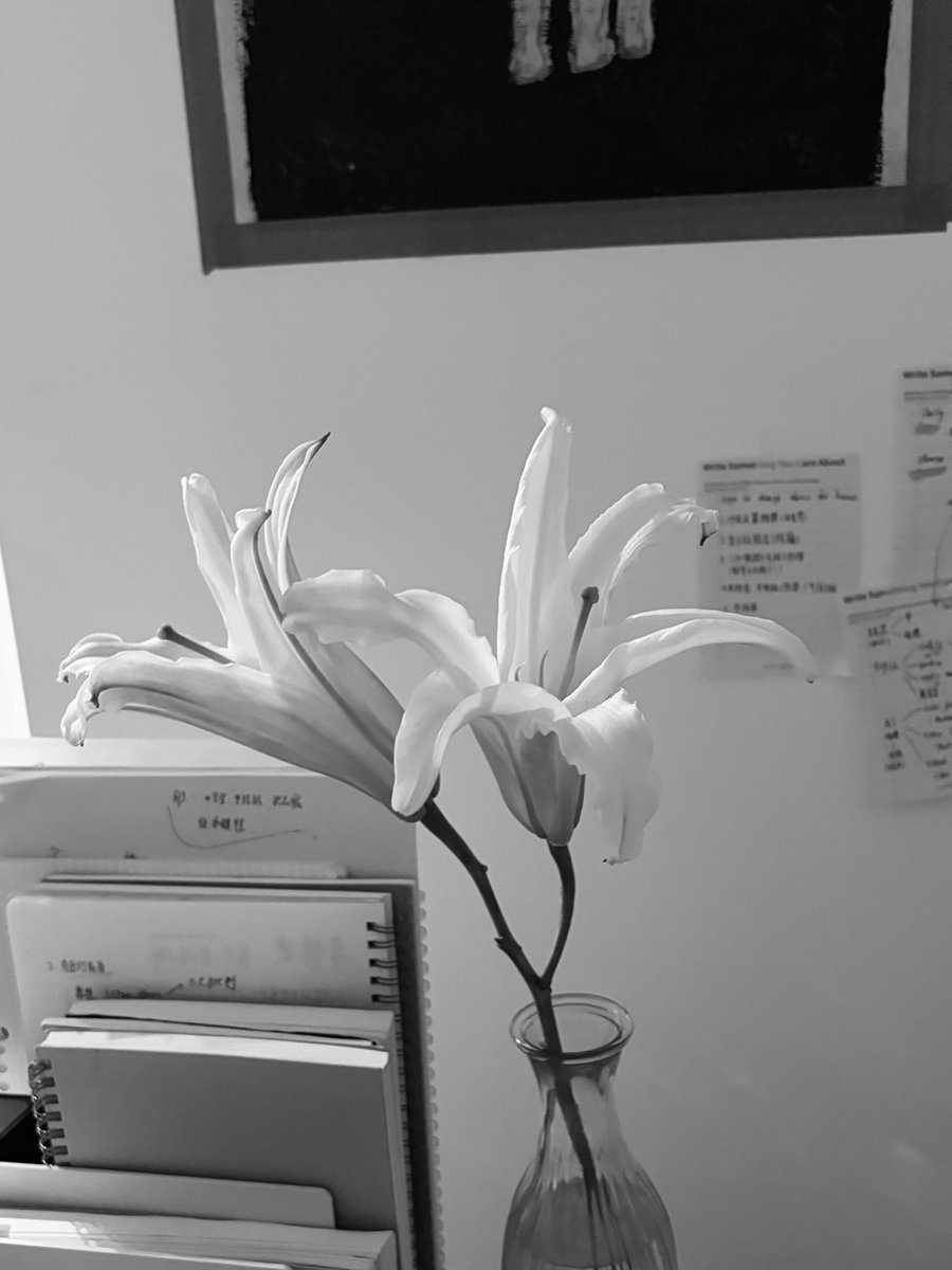 登徒子 tweet media