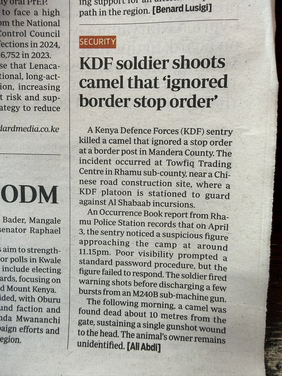 Nelson Havi SC tweet media