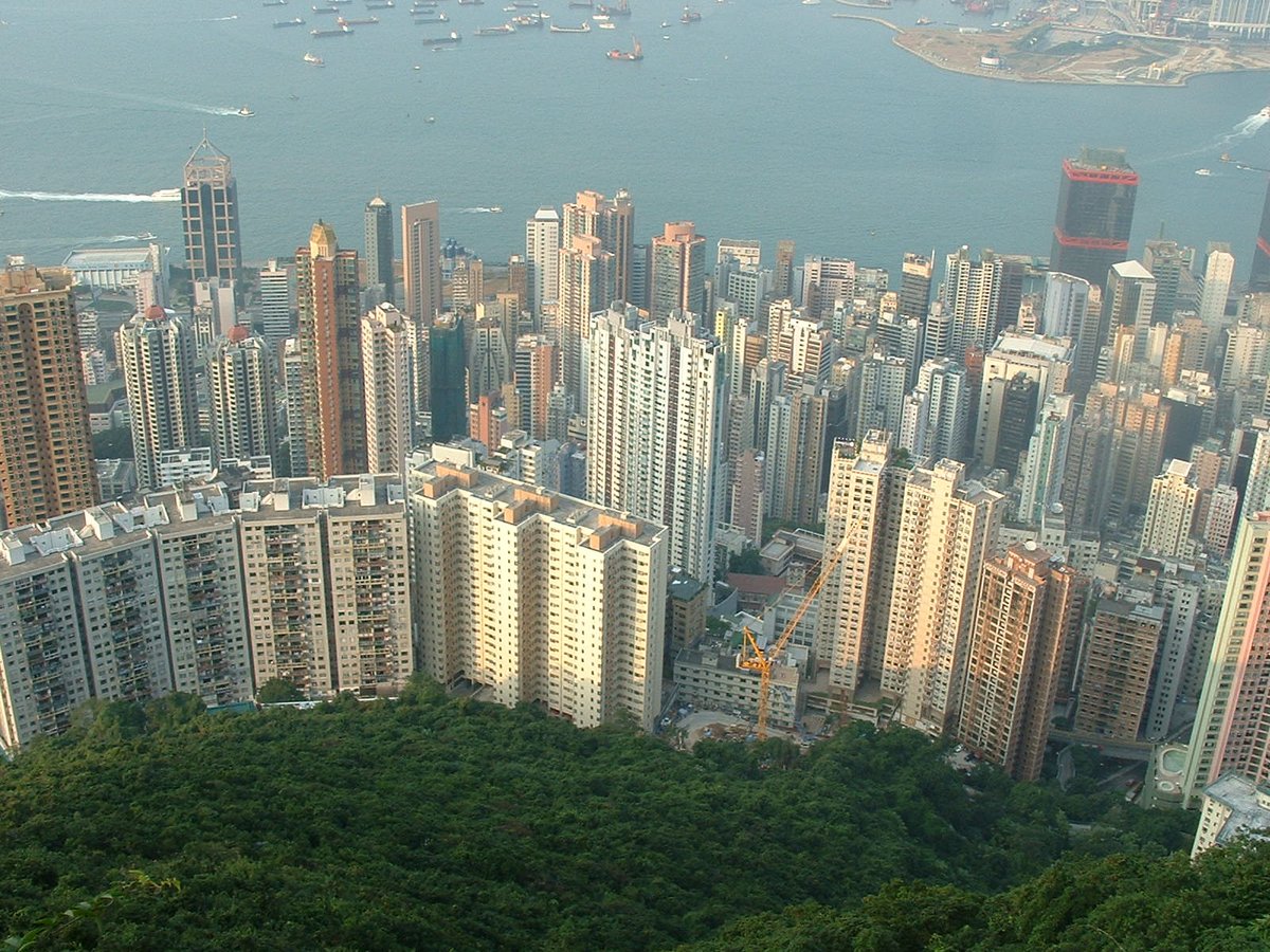 Tom Grundy tweet media