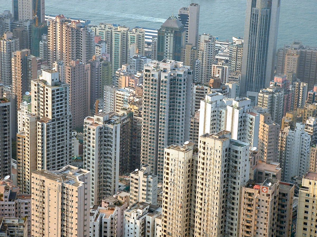 Tom Grundy tweet media