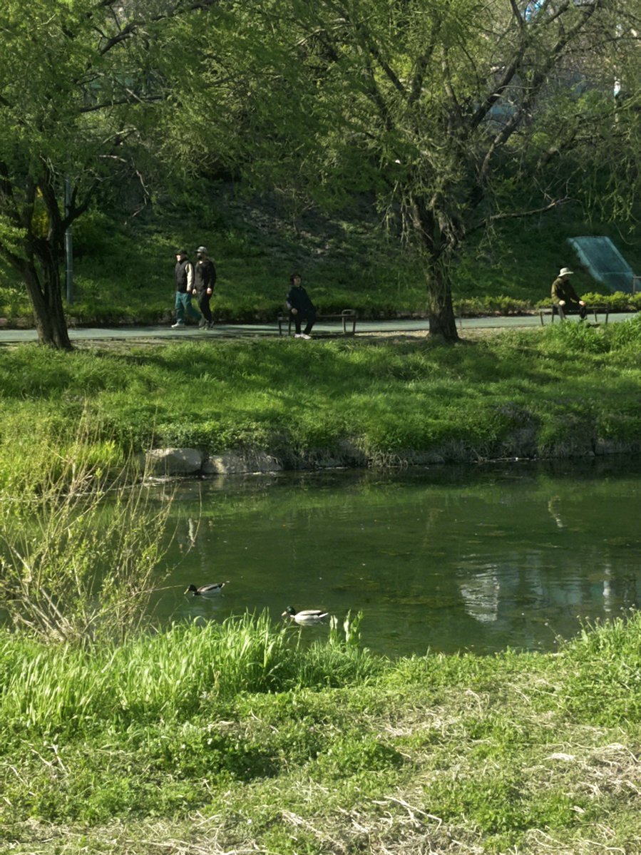 은평시스터즈 tweet media