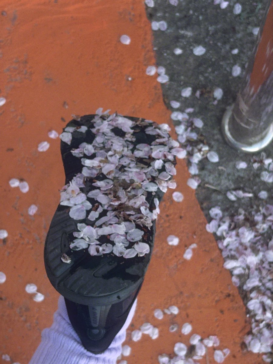 은평시스터즈 tweet media