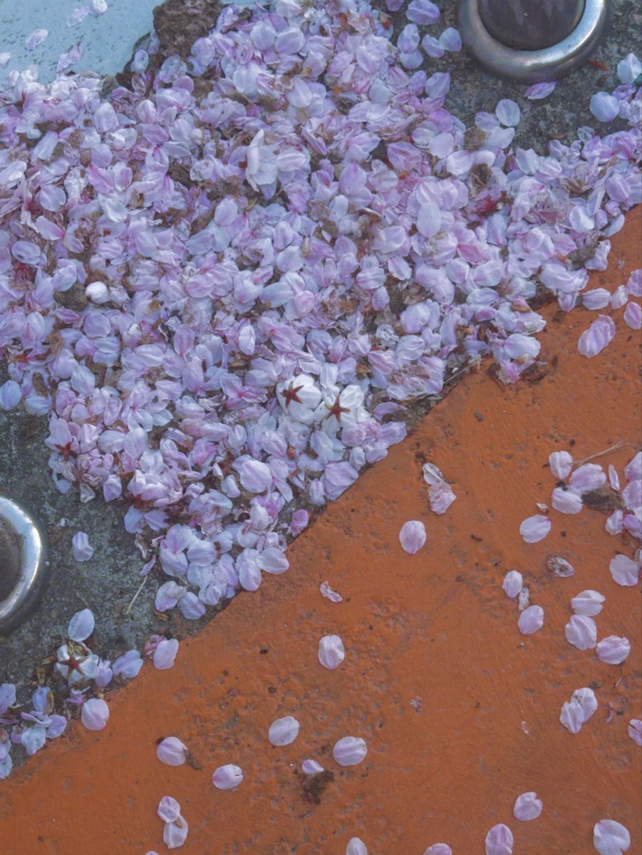 은평시스터즈 tweet media