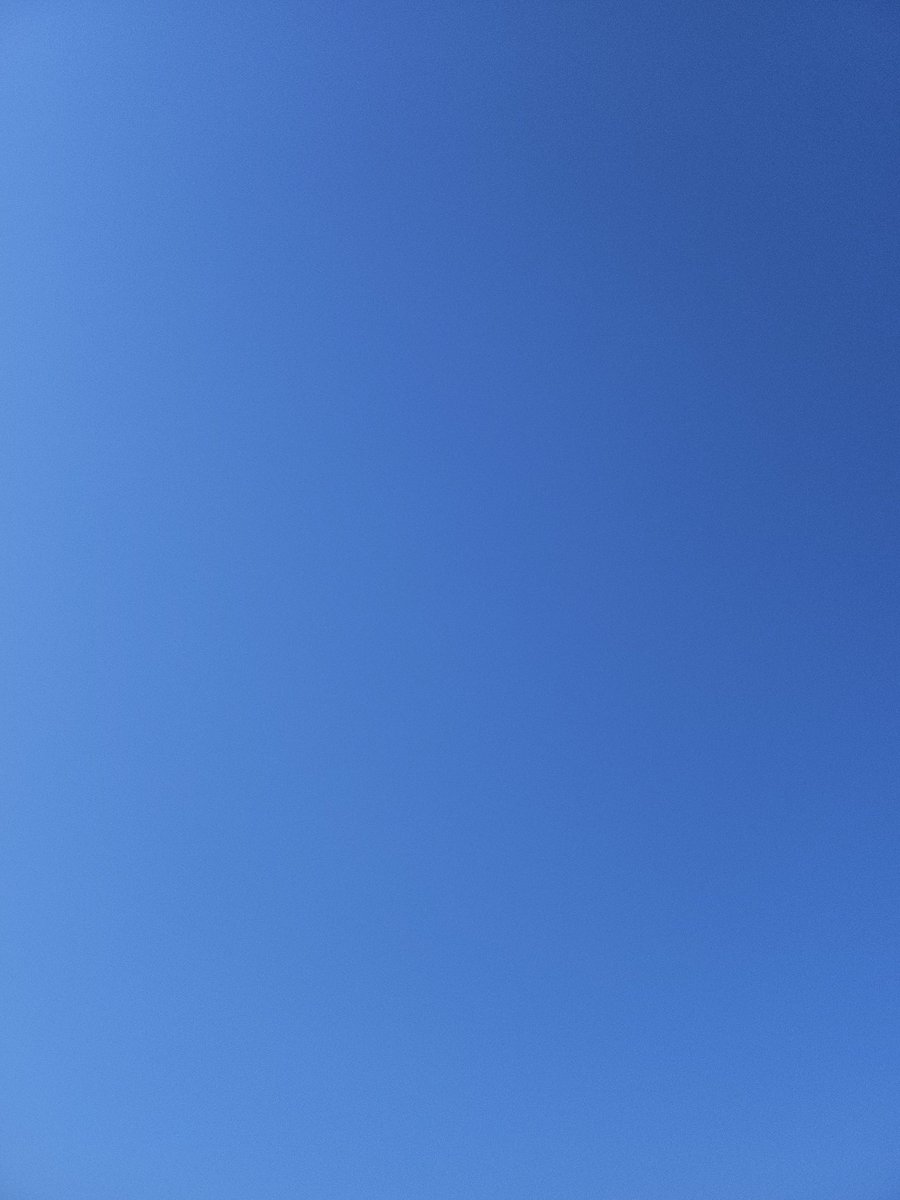 Netubi_네튜비 tweet media