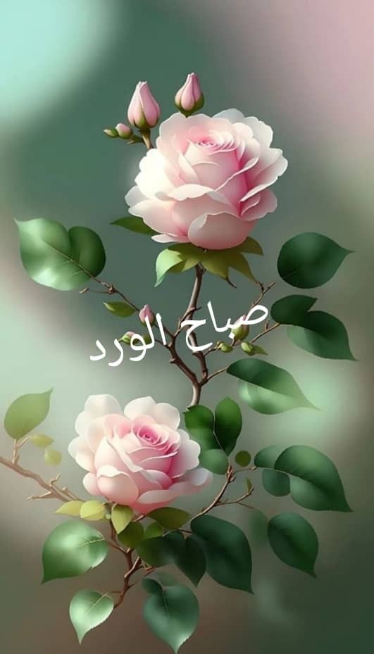 Dreamy Town tweet media