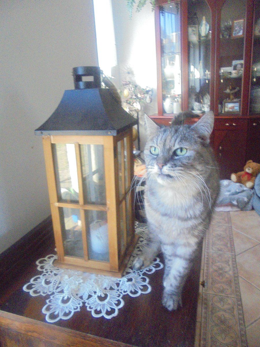 Maria Anna Fundacja Zdążyć do domu tweet media