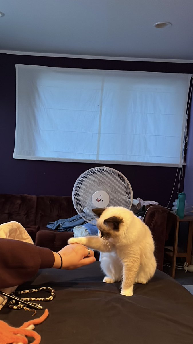 real reason i never get any editing done