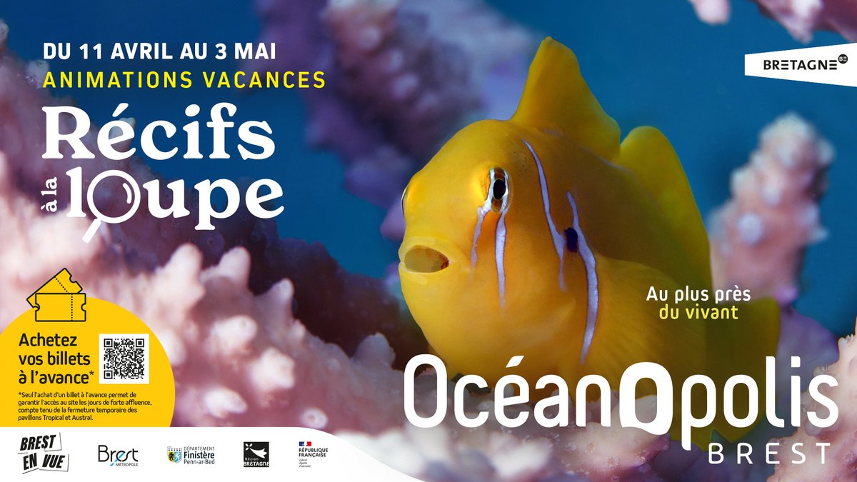 Océanopolis Brest tweet media