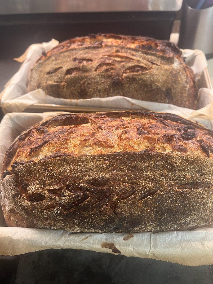 texasbreakfast1's tweet image. Onion loaves are done, chocolate cherry loaves going in 😮‍💨