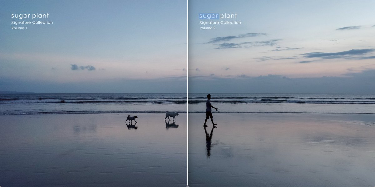 vneighborhood's tweet photo. sugar plantのベスト盤2タイトルがカラー・ヴァイナルで発売！

1995年のデビューアルバム『hiding place』から最新作『one dream, one star』に至るまで、sugar plantの全キャリアを横断して選び抜かれたコレクションアルバムをアナログ盤2タイトルでのリリースが決定！3月にリリースされた新作が世界的な評価を得る中、ベスト盤がファン待望のアナログLPで発売となる。

本日よりレーベル予約開始
sugar plant / Signature Collection Volume.1
https://t.co/MJ5IjYv6ae

sugar plant / Signature Collection Volume.2
https://t.co/FKt3vvpwvs

sugar plant / Signature Collection Volume.1 
6月12日発売
品番：TRERD-102
カラー盤アナログLP CLEAR MINT GREEN
税込定価：6,600円
tremolo records
vol.1 収録曲
A1. ten years
A2. rise
A3.Route 128
A4. butterfly
B1.synapse
B2.slowdown
B3.purple bike

sugar plant / Signature Collection Volume.2
7月17日発売
品番：TRERD-103
カラー盤アナログLP ULTRA CLEAR
税込定価：6,600円
tremolo records
vol.2 収録曲
A1. I play for you
A2. #4
A3. a rain discretion
A4. calling
A5. shiny blue dead fish
B1. cage of the sun
B2.licorice
B3.simple
B4.I was you