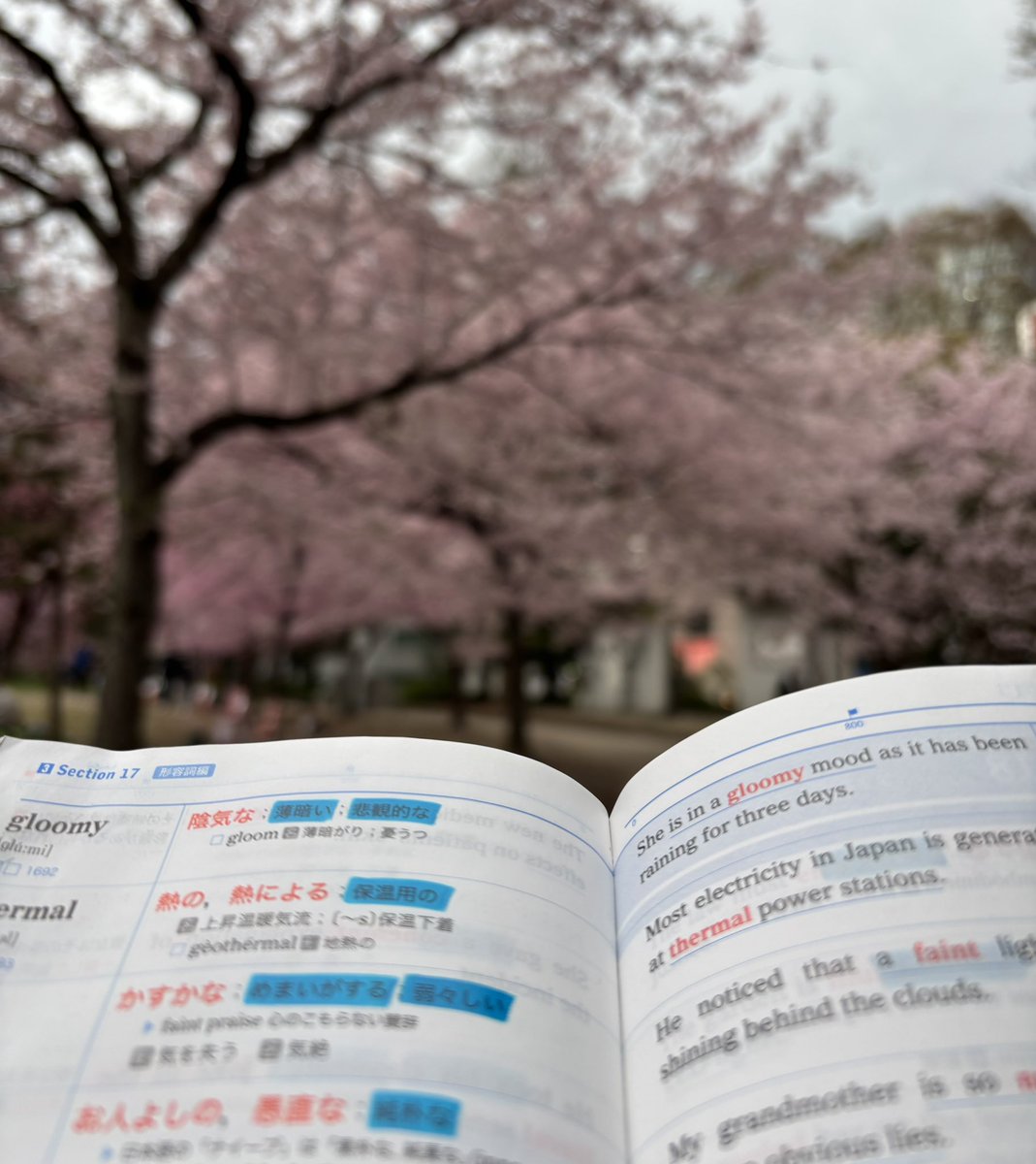 ロウニャン tweet media