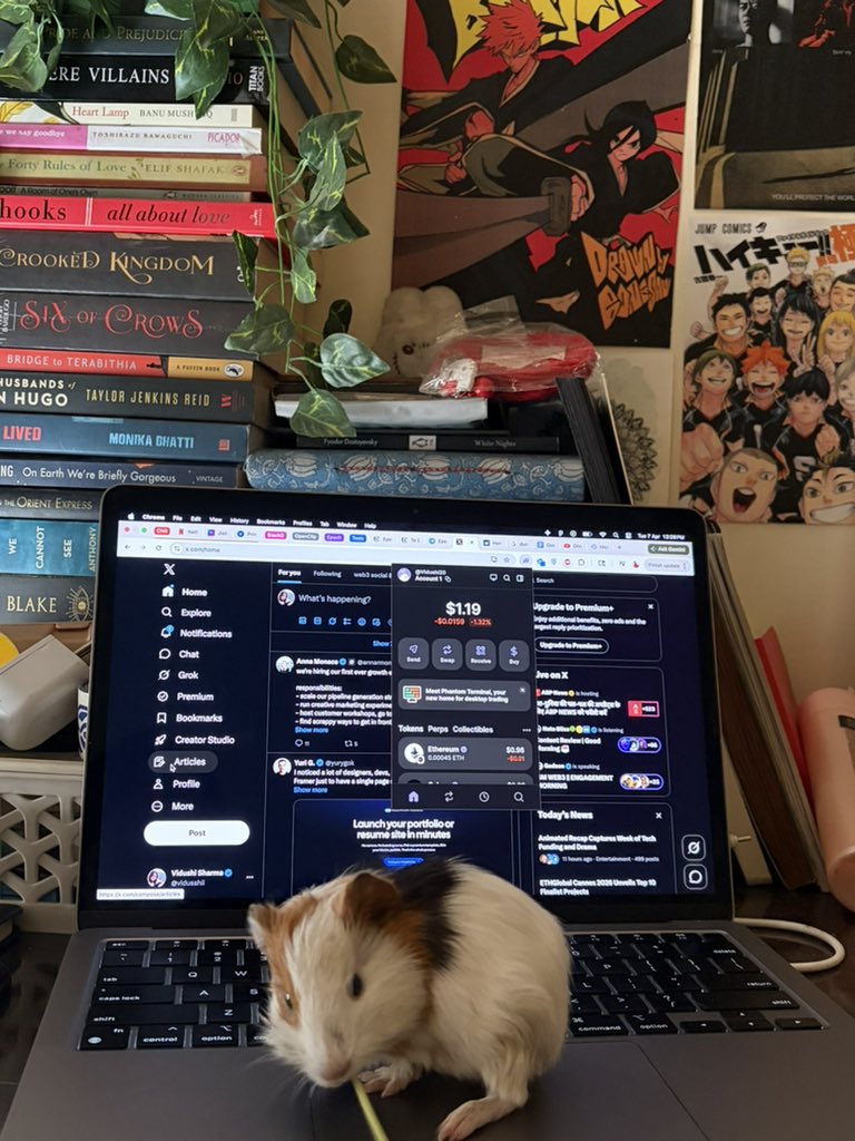 Vidushi Sharma tweet media