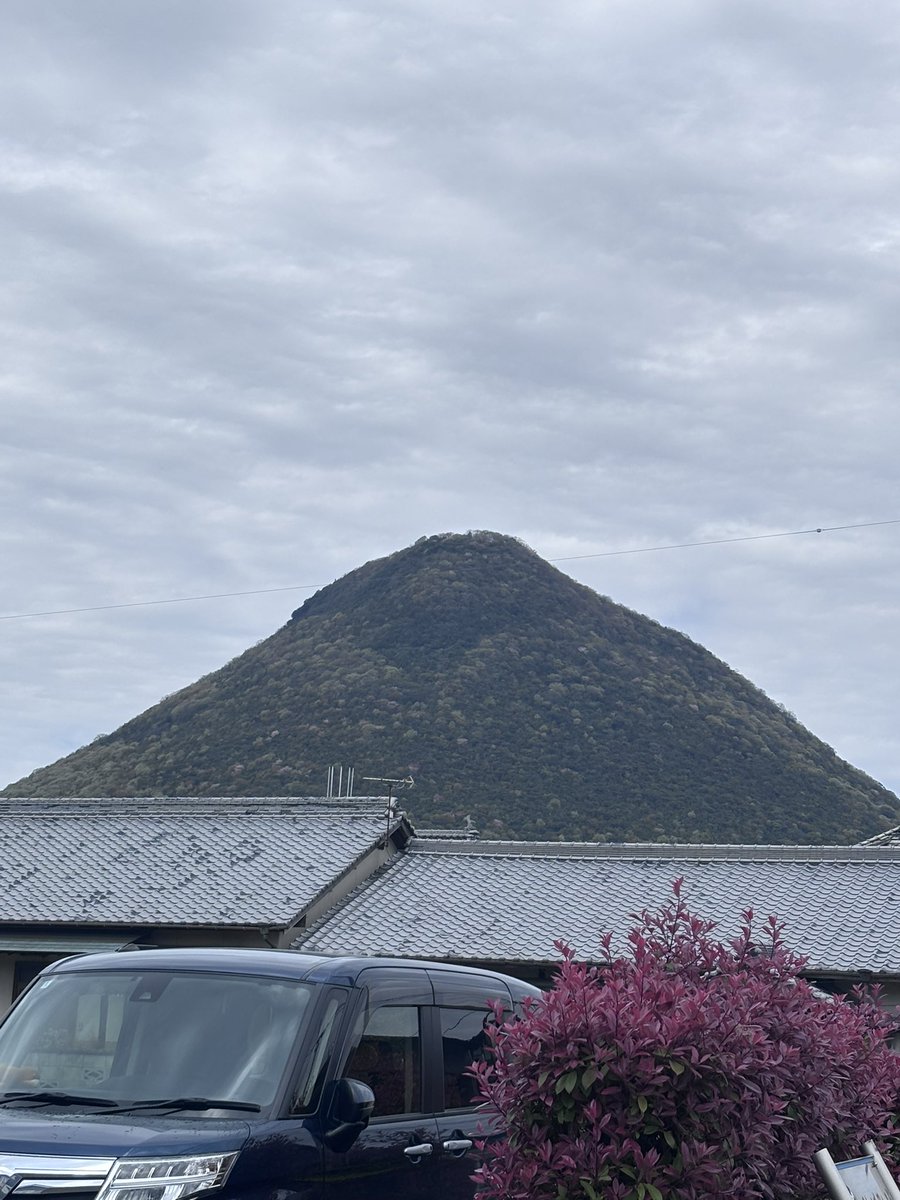 ナカマカナ tweet media