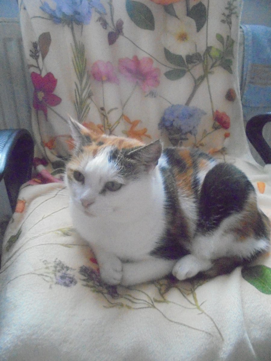 Maria Anna Fundacja Zdążyć do domu tweet media