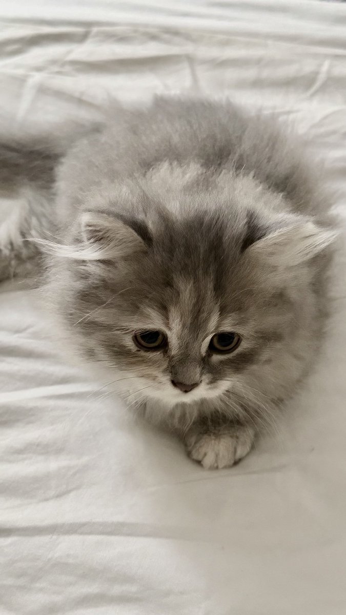 Lamar ☼ tweet media