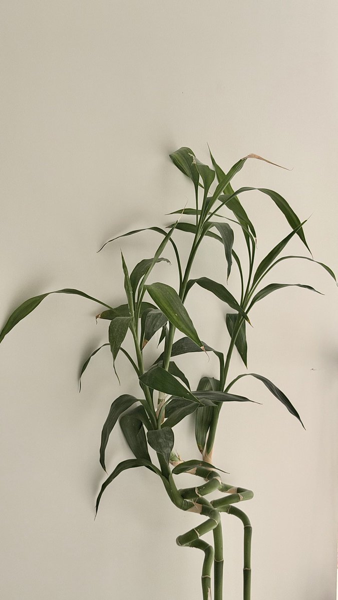 Lamar ☼ tweet media