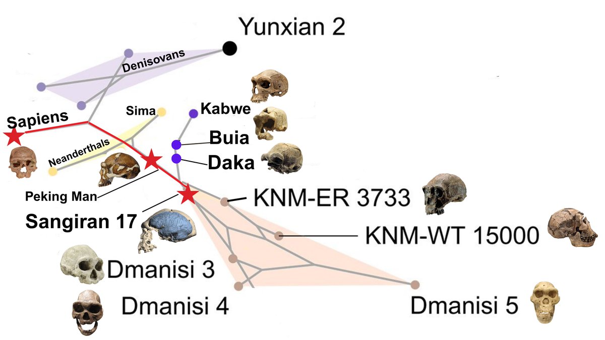 Highly Compelling tweet media