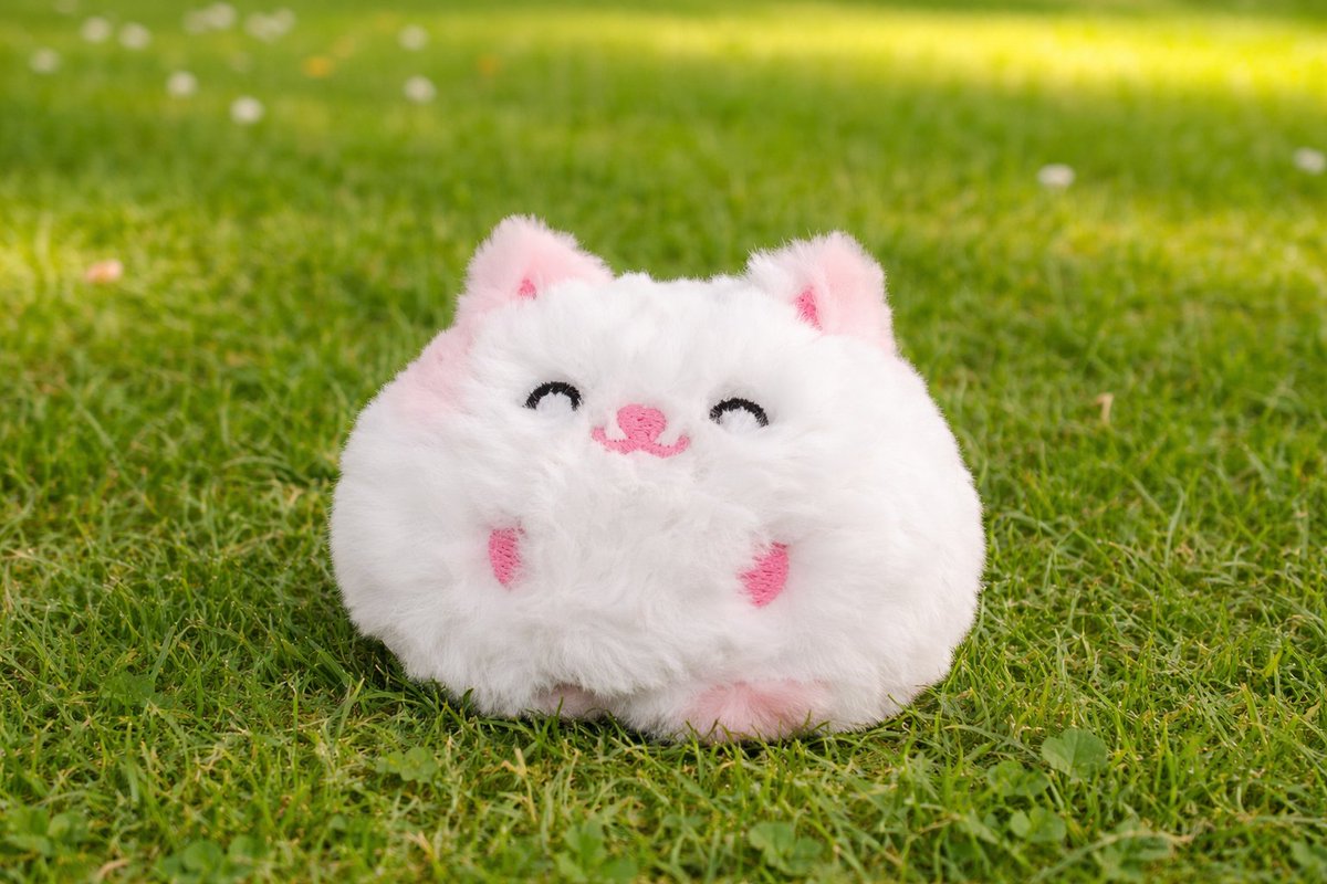 털찐이(tulzzini) 털찐자까 tweet media