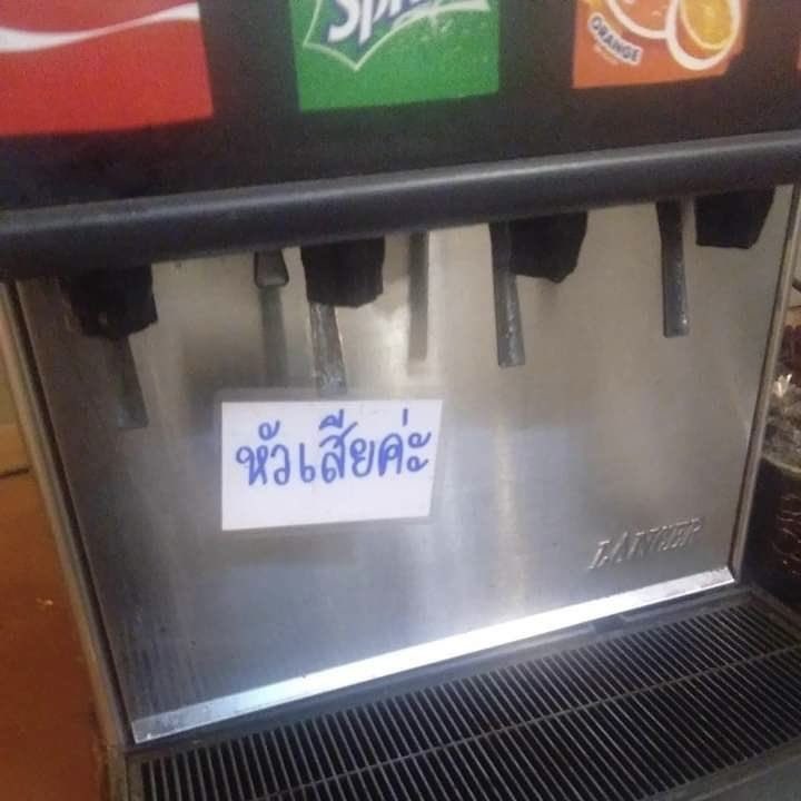 ค น ซื่ อ บื้ อ tweet media