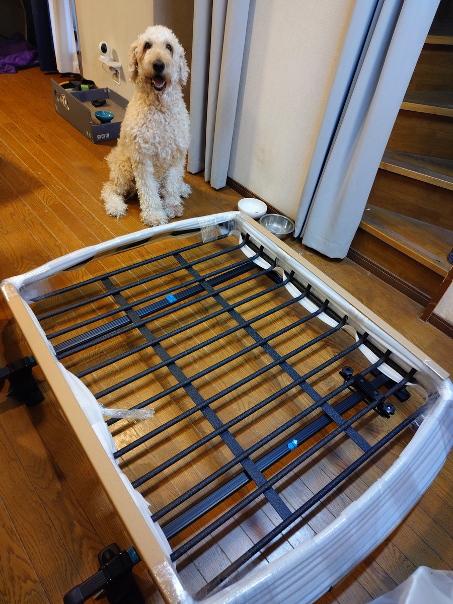 ライ太さん tweet media