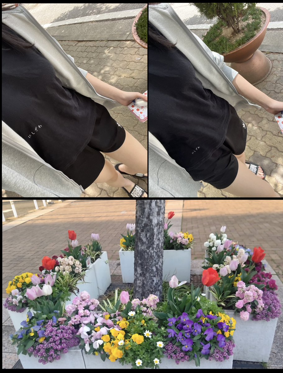 ︎𖧧 西沢 春海 tweet media