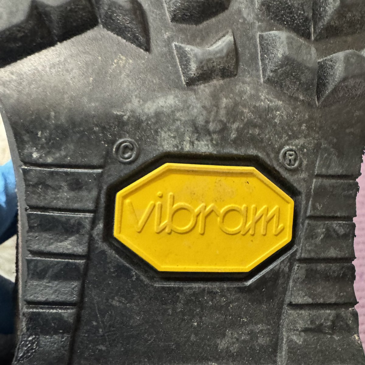 イカれん坊将軍 tweet media