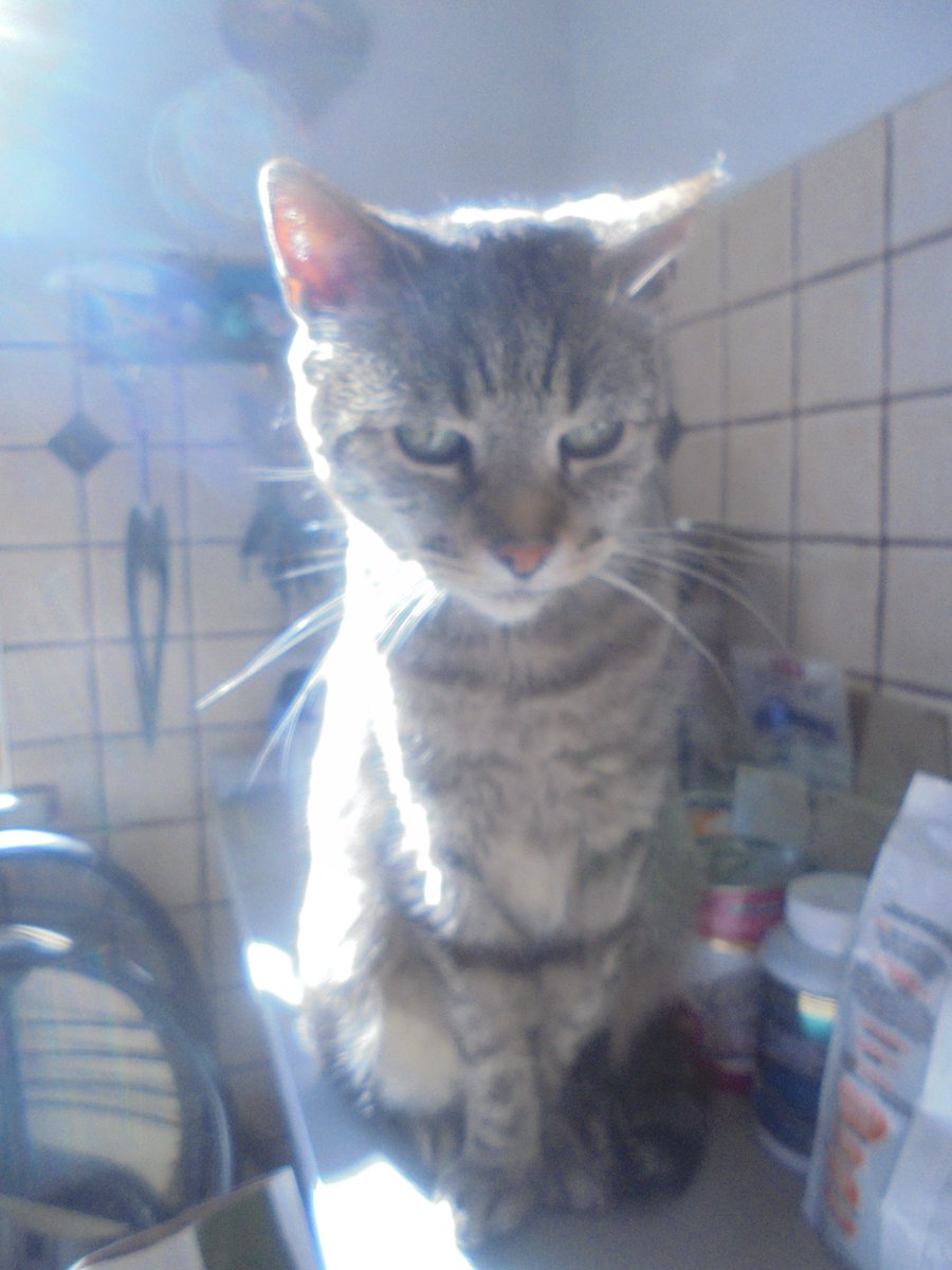 Maria Anna Fundacja Zdążyć do domu tweet media