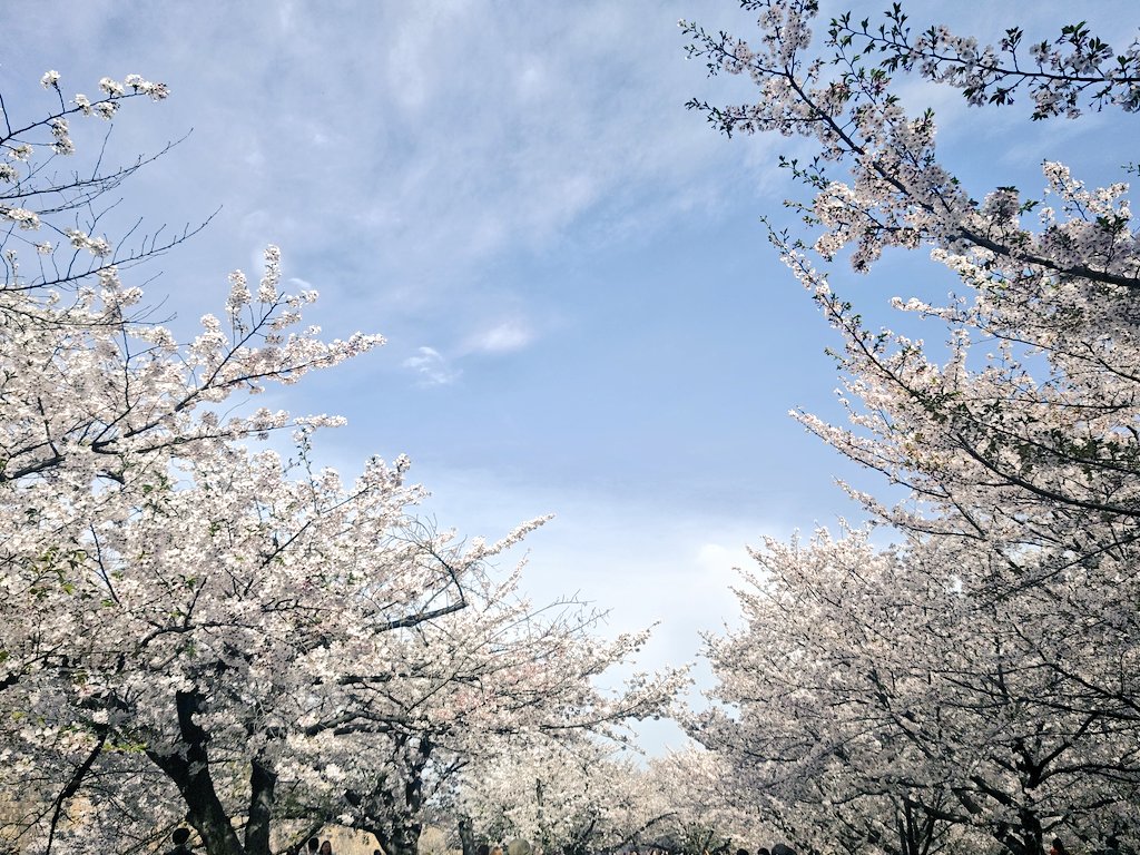 ミルクボーイ内海 tweet media