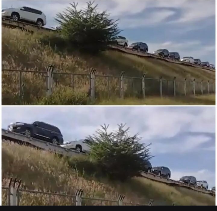 Local Boy tweet media