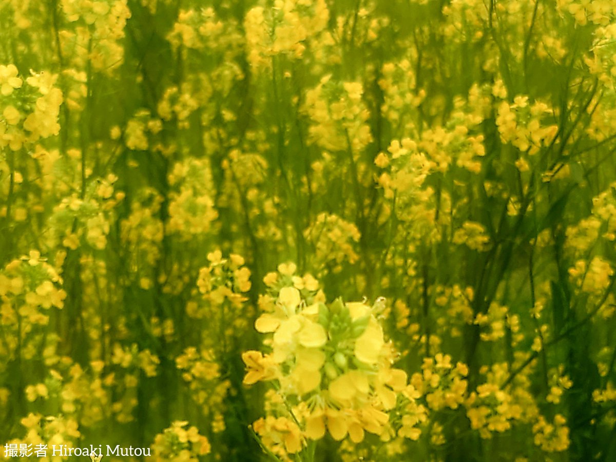 いつも、空と月の風景の写真を撮る人🌛🔭📷 tweet media