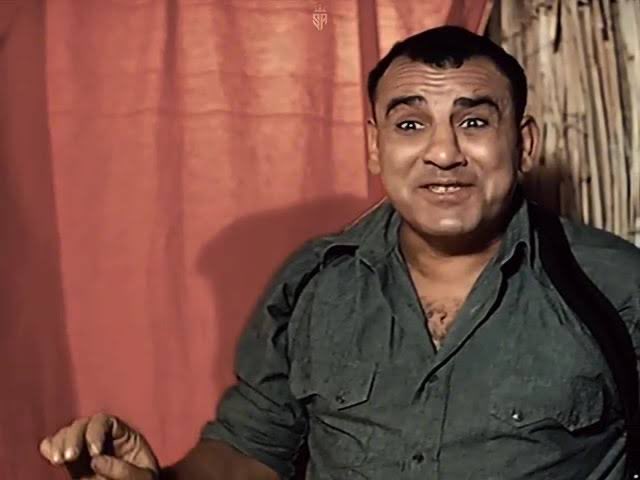 Palästina - آيـه رفعـت tweet media