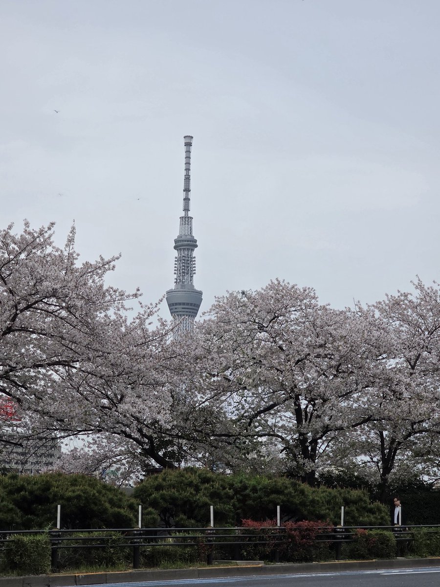 tos_fielder tweet media