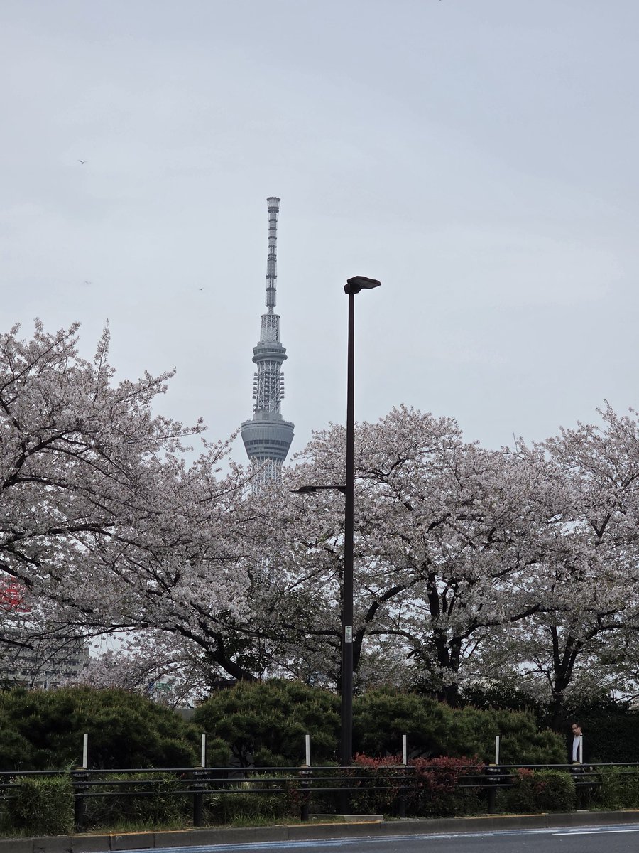 tos_fielder tweet media