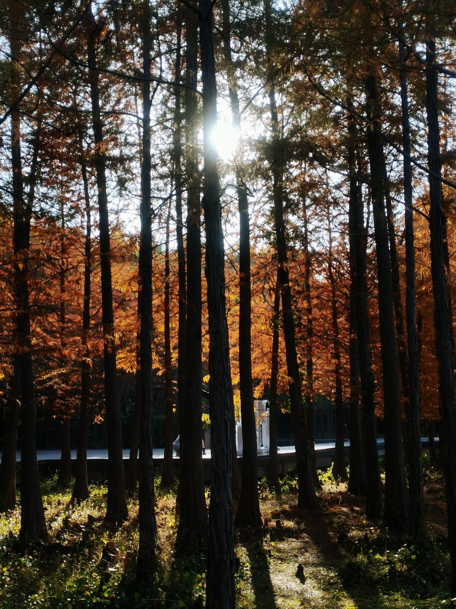 YASHWANT tweet media