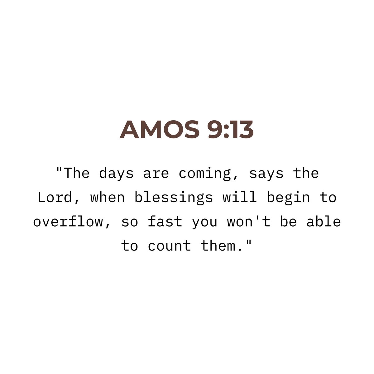 Holy Bible tweet media